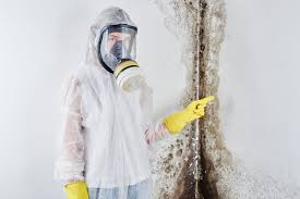 Best Biohazard Mold Removal in Excelsior Springs, MO